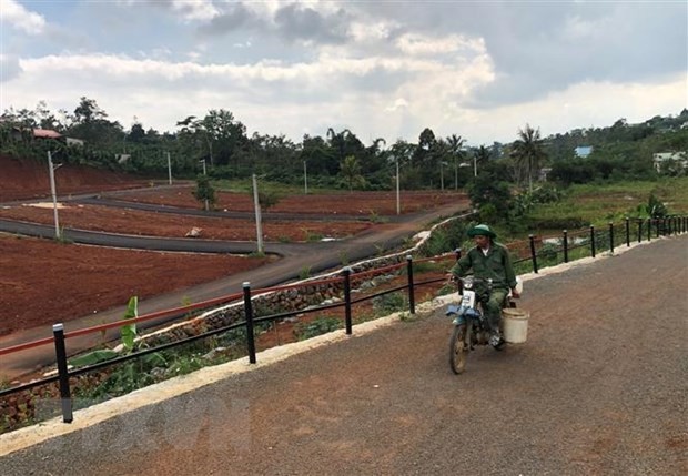 Bao Loc bat ngo xin thu hoi bao cao ve cac du an 'bat dong san ma' hinh anh 1