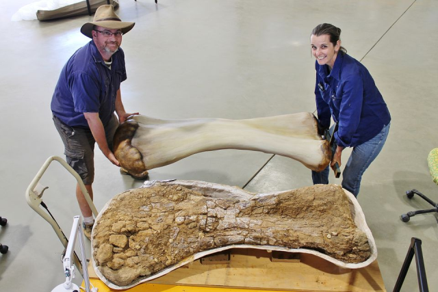 Phát hiện hoá thạch loài ‘khủng long’ lớn nhất thế giới-dulichgiaitri.vn