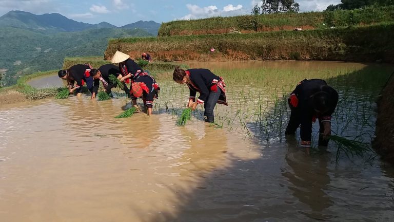 Bản Nậm Hồng (Hà Giang) – Điểm đến ‘du lịch cộng đồng’ lý thú-dulichgiaitri.vn