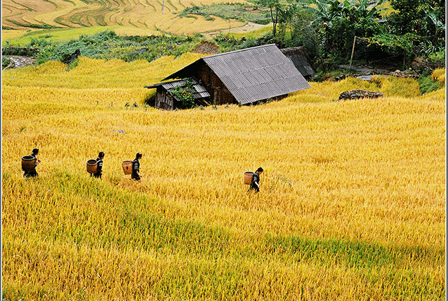 Si Ma Cai (Lào Cai) ‘điểm đến mới’ trong mùa hè này-dulichgiaitri.vn