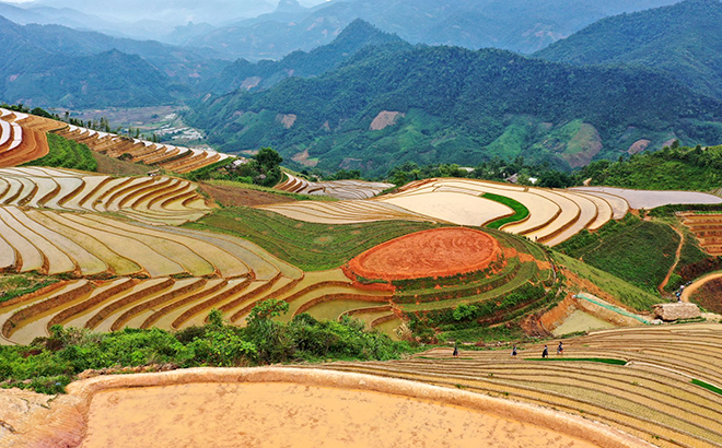 Xốn xang ‘kỳ quan’ ruộng bậc thang Phong Dụ Thượng, Yên Bái-dulichgiaitri.vn