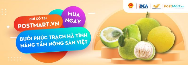 Hỗ trợ bưởi Phúc Trạch lên sàn thương mại điện tử-dulichgiaitri.vn