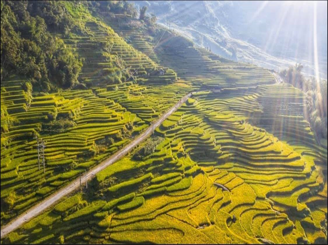 Lào Cai: Thung lũng ruộng bậc thang Thề Pả mùa lúa chín-dulichgiaitri.vn