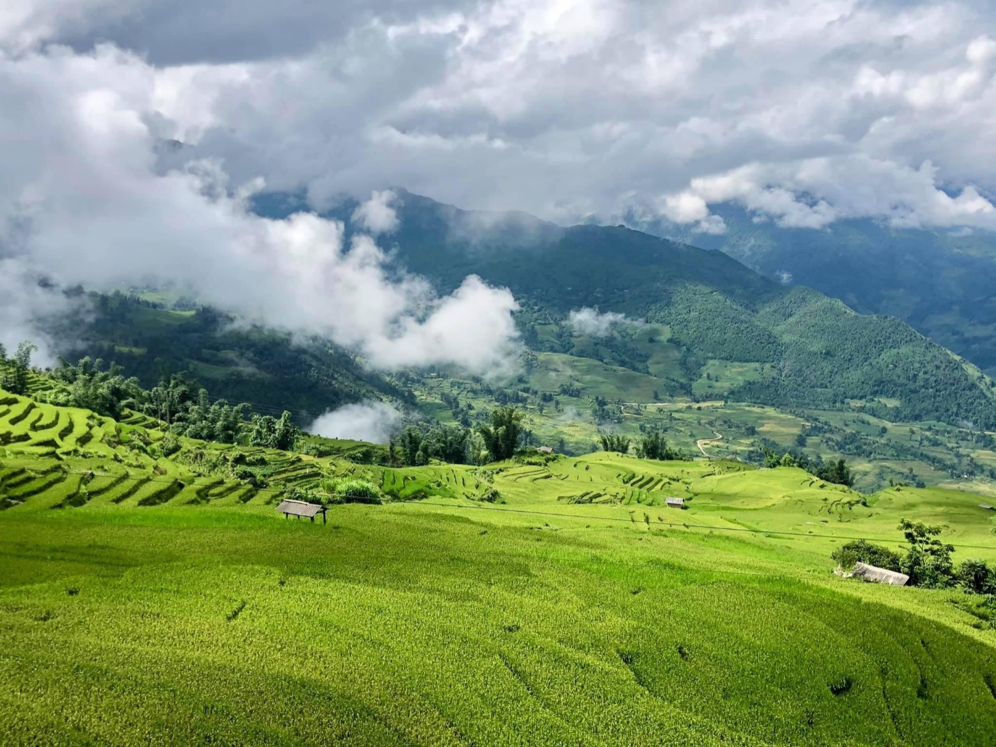 Lào Cai: Thung lũng ruộng bậc thang Thề Pả mùa lúa chín-dulichgiaitri.vn