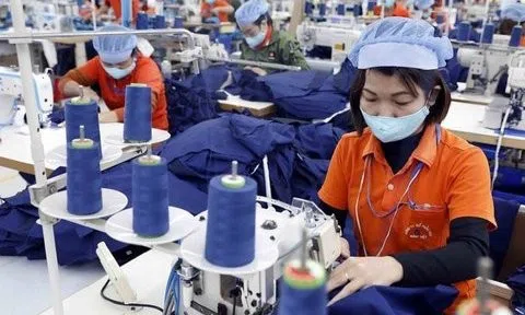 Tận dụng cơ hội từ EVFTA để gia tăng xuất khẩu bền vững
