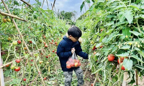 Lợi ích khi trẻ được khám phá