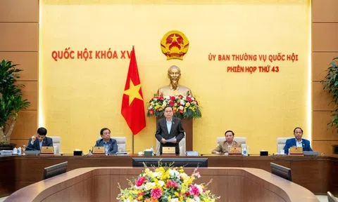 Xem xét thông qua Nghị quyết về sắp xếp đơn vị hành chính, cho ý kiến về cải cách tiền lương