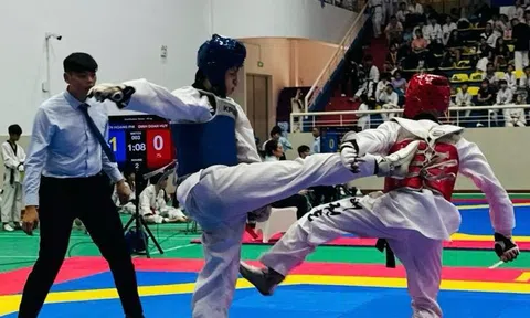 Hơn 1.000 võ sĩ tham dự Festival Taekwondo Hà Nội mở rộng - Cúp Thăng Long Lần thứ 1 năm 2025