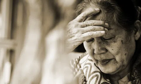 Cháu mới là người có lỗi