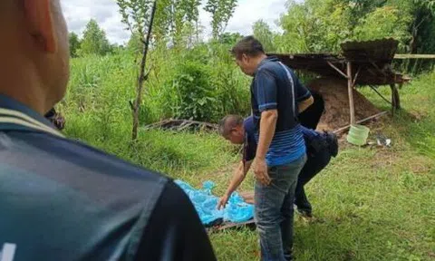 Phát hiện mùi bất thường khi đi chặt mía, người dân sốc nặng khi nhìn vào lò than