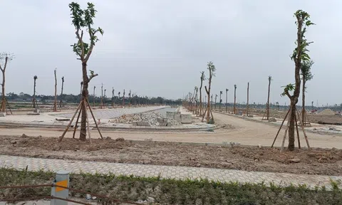 Khu đô thị "TEELhomes Tràng An" - Dự án trọng điểm nằm ngay huyết mạch nối cao tốc Cầu Giẽ - Ninh Bình với cao tốc Hà Nội - Hải Phòng