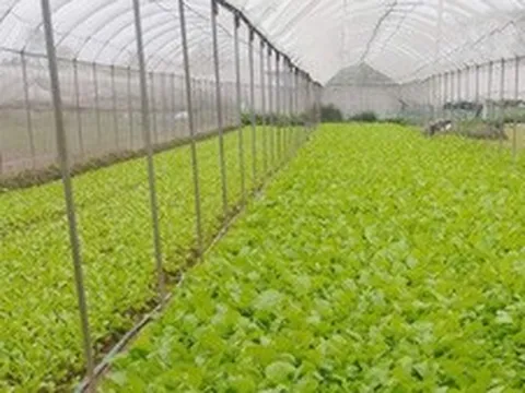 Chuyển đổi số - bước đột phá nâng giá trị nông sản