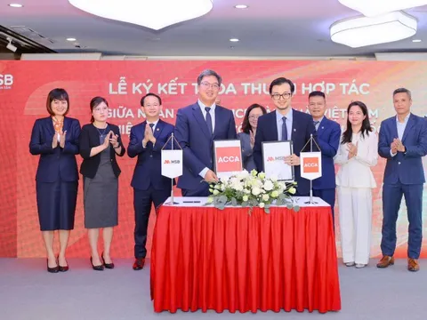 MSB đạt chứng nhận ACCA Approved Employer: Khẳng định cam kết phát triển Nhân sự bền vững
