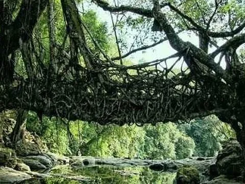 Bí ẩn ngôi làng sạch nhất châu Á