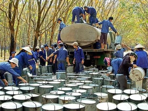 "Vàng trắng" tăng giá, đại gia trong ngành này báo lãi gấp đôi