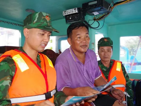 Gia Lai: Đẩy nhanh đăng ký, cấp phép tàu cá và hỗ trợ chủ tàu cá không đủ điều kiện thai thác