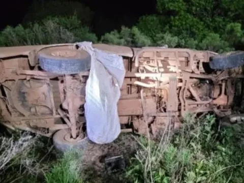 Xe tải đâm vào tổ ong, cha và con gái tử vong