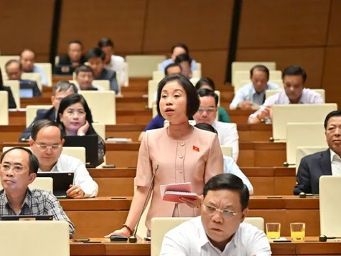 Dự án không còn hiệu quả, không phù hợp với quy hoạch và điều kiện địa phương thì mạnh dạn cho dừng