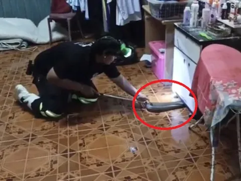 Nhìn xuống gầm kệ, người đàn ông phát hiện cảnh tượng "nổi da gà" giữa đêm